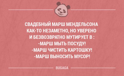 Прикольные фразы и забавные мысли. Часть 77 (20 шт)