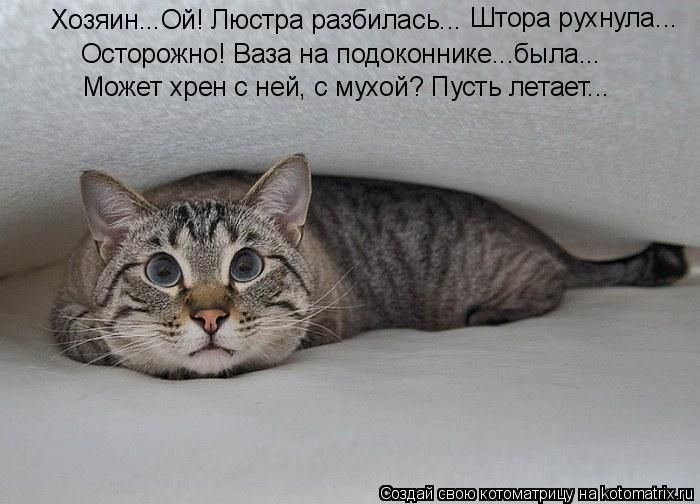 Мысли вслух :)