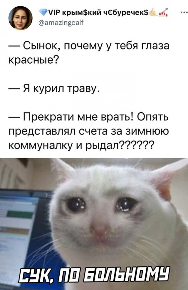 Подборка приколов для настроения Подборка приколов для настроения