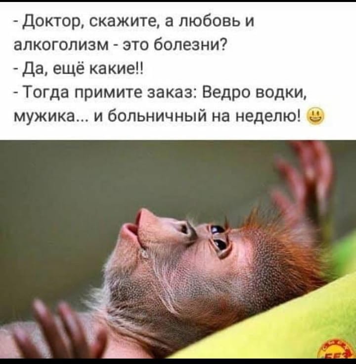 Собрание анекдотов и шуток для прекрасного настроения на весь день Собрание анекдотов и шуток для прекрасного настроения на весь день