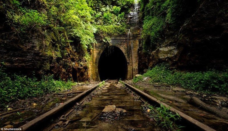 18. Заброшенные тоннели Helensburgh Tunnels на южном побережье Сиднея. Железнодорожная станция, соединяющая тоннели, была заброшена более 100 лет назад. заброшенное, заброшенные места, заброшенные объекты, интересное, находки, подборка, разрушенное, фото