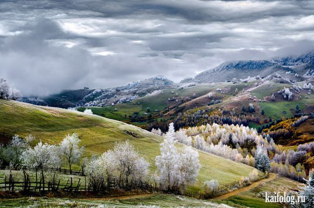   National Geographic 2015 (75 )