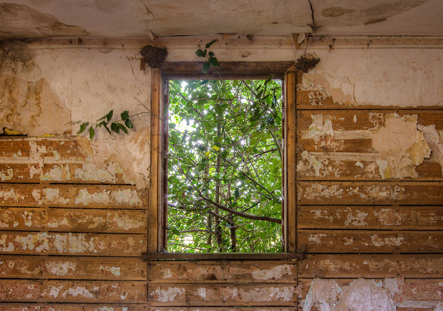 Комнаты, из окон 
которых не смотрели 
уже 200 лет: 
фотопроект