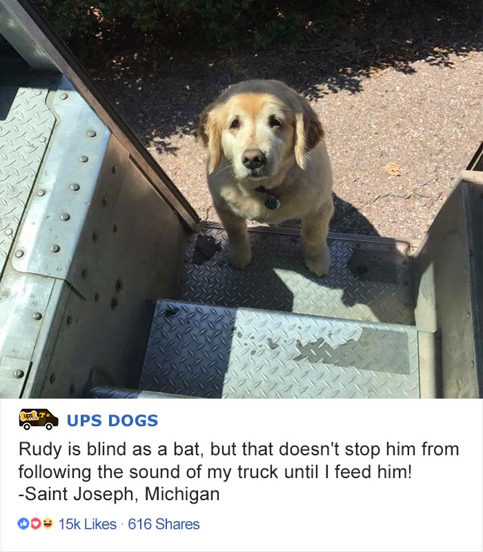 ups-dogs-facebook-group-drivers-meet-routes-sean-mccarren-03a