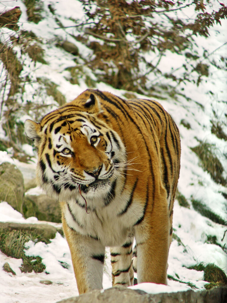 Случайность — непознанная закономерность