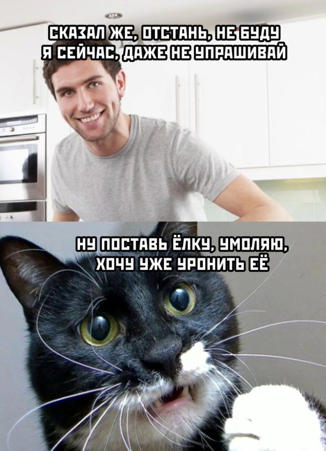 Подборка прикольных картинок  приколы,смешные картинки,юмор