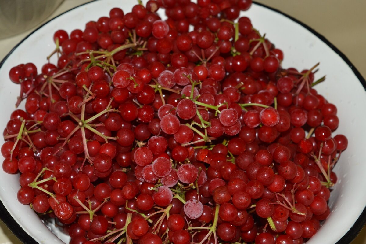 Калина с медом. Проверенный годами рецепт.