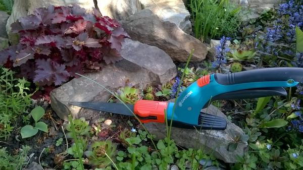 Как я их хотела!!! Ножницы от Gardena Как я их хотела!!! Ножницы от Gardena