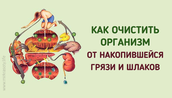 Схема очищения организма