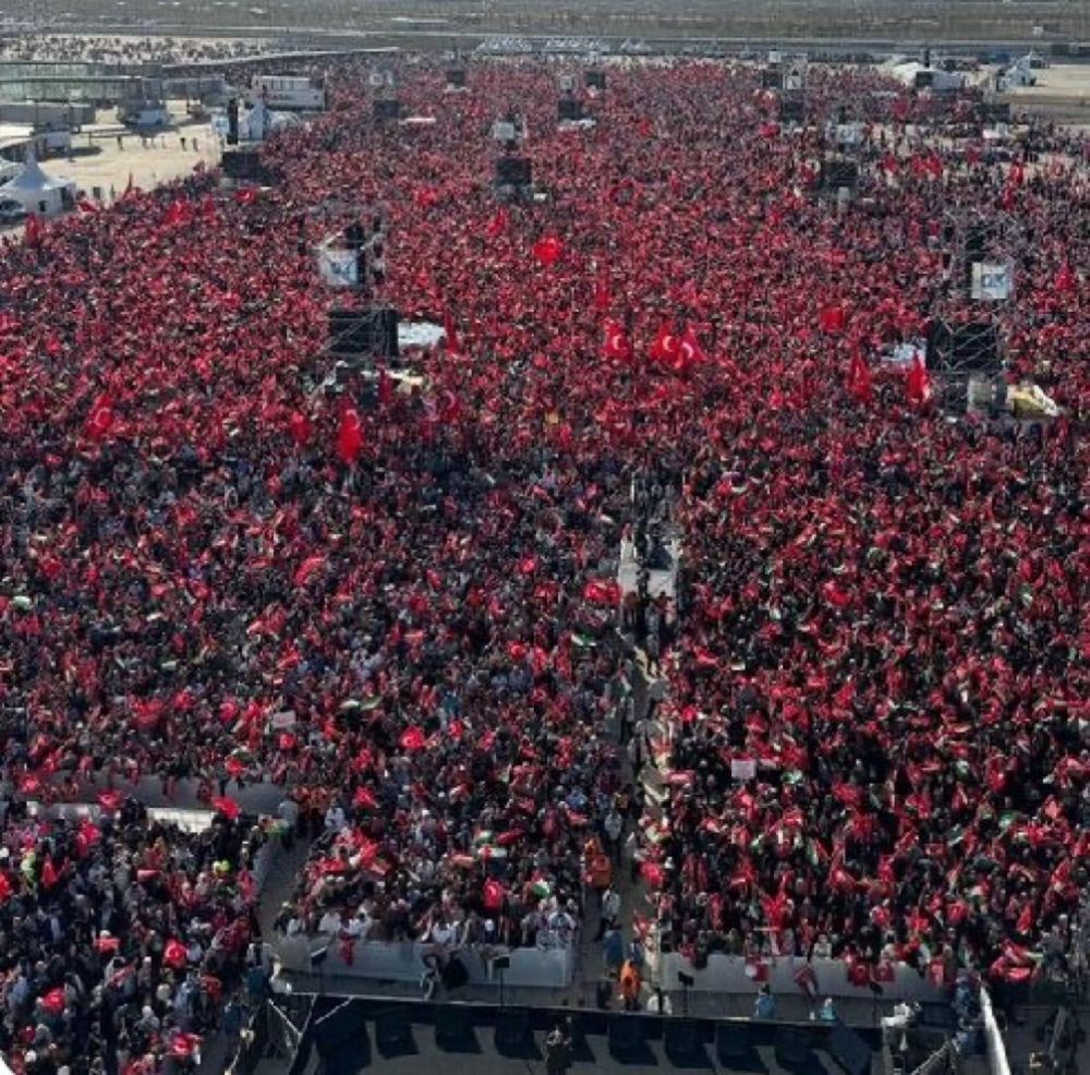 Турция хочет мира, но готова к войне геополитика