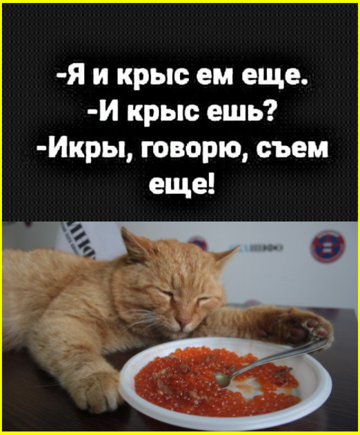 Робинзон Крузо любил Пятницу, потому что по пятницам к нему приплывал бухать Федор Конюхов... 