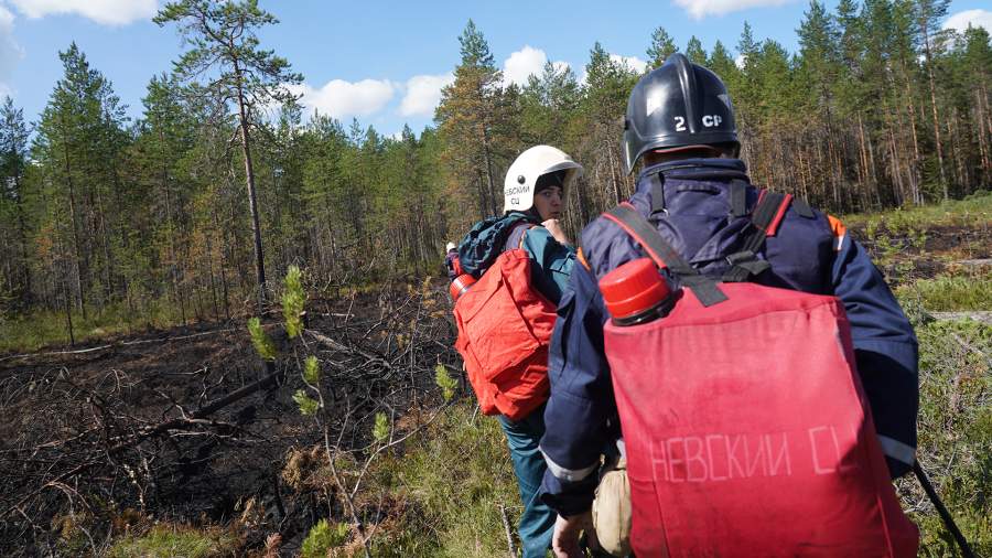 В Евпатории пожарные спасли медведей из загоревшегося контактного зоопарка