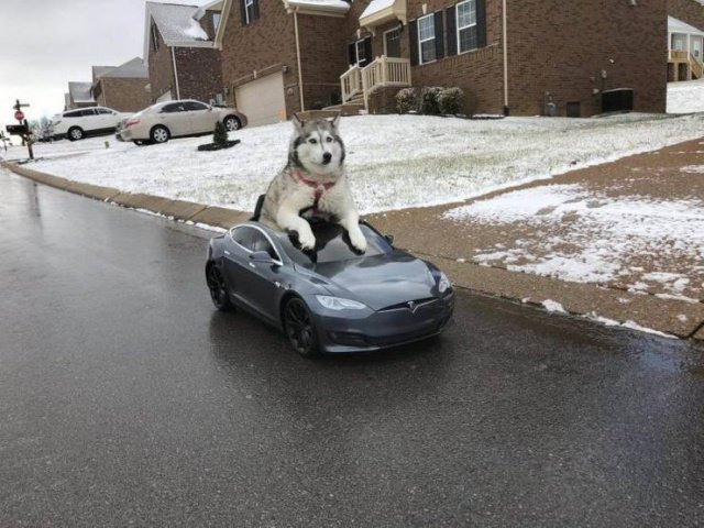 Фотоподборка недели Фотоподборка недели