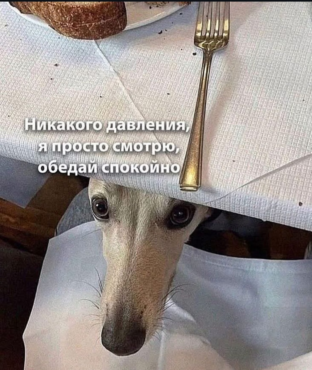 Уволился, потому что работа мешала моему лету Уволился, потому что работа мешала моему лету