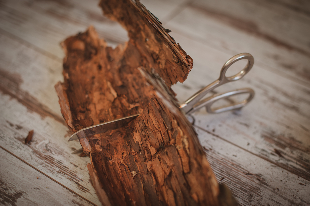 Трофеи с осенней прогулки превращаются в красивый сезонный декор Трофеи с осенней прогулки превращаются в красивый сезонный декор декор,домашний досуг,своими руками