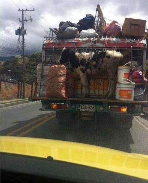 Подборка автомобильных приколов Подборка автомобильных приколов смешные картинки