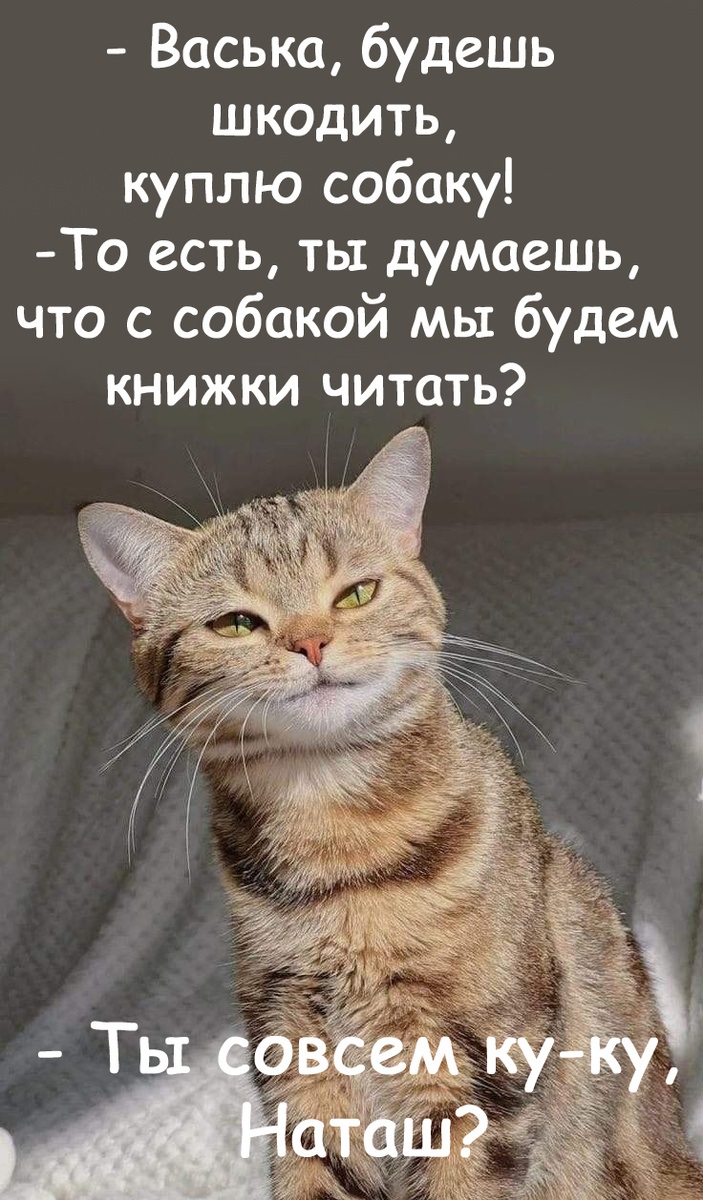 Человеку свойственно ошибаться, и он пользуется этим свойством часто и с удовольствием 