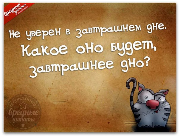 Прикольные картинки с фразочками Прикольные картинки с фразочками