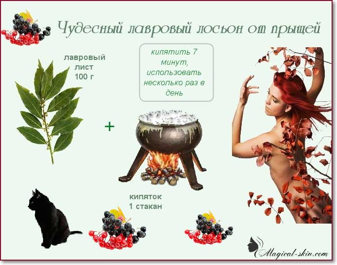 Отвар лаврушки для лица от морщин. Лавровый лист для лица. Лавровый лист для лица. Лавровый лист для лица. Лавровый лист от прыщей на лице.