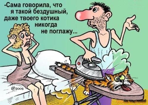 Жена и муж прогуливаются перед сном с собакой и над ними падает красивая звезда...