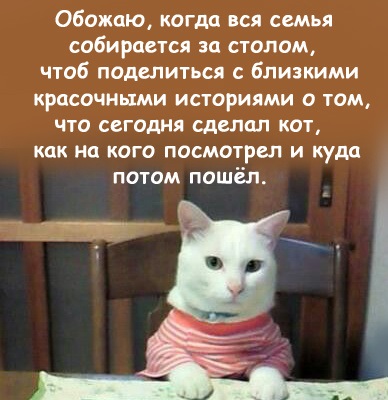 Человеку свойственно ошибаться, и он пользуется этим свойством часто и с удовольствием 