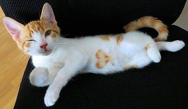 Субботний Фотопозитив 