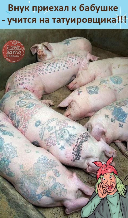 Криминальные новости. Группа вооруженных грабителей была избита пенсионерами... Криминальные новости. Группа вооруженных грабителей была избита пенсионерами... Весёлые,прикольные и забавные фотки и картинки,А так же анекдоты и приятное общение