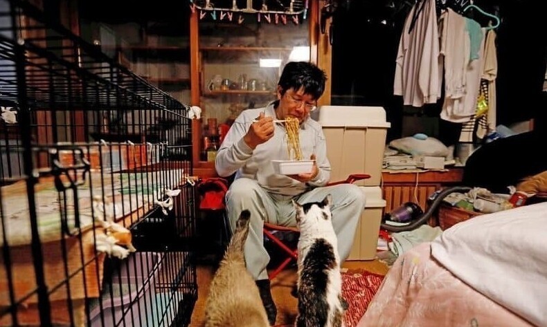 Японец остался жить рядом с «Фукусимой» ради чужих кошек