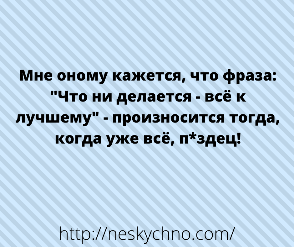 Немного свежих анекдотов для хорошего настроения 