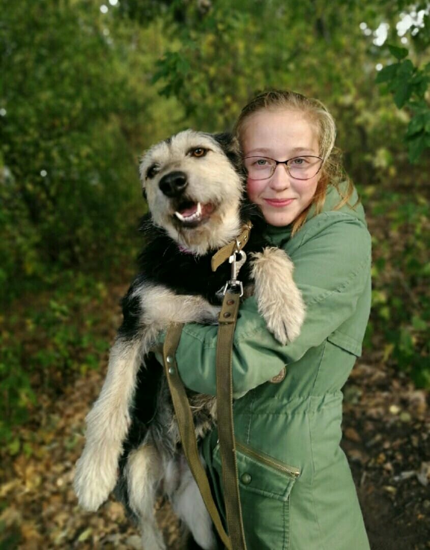 девочка и собака