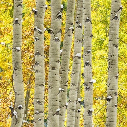 Забавные фотоиллюзии Забавные фотоиллюзии