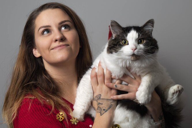 Самые популярные домашние любимцы в мире: как и когда человек приручил кошек