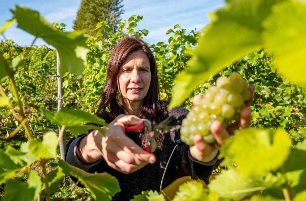 Осенние цвета Великобритании Осенние цвета Великобритании пейзажи