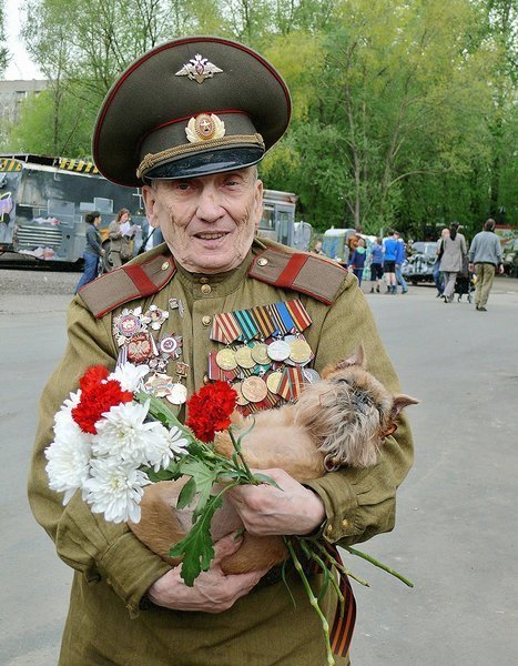 Герой или мерзавец? война и мир