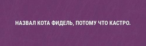 22 шутки в картинках, которые повеселят всех и каждого 