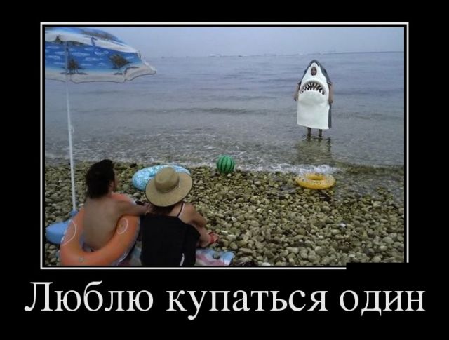 Свежие и позитивные демотиваторы для веселья (11 фото)