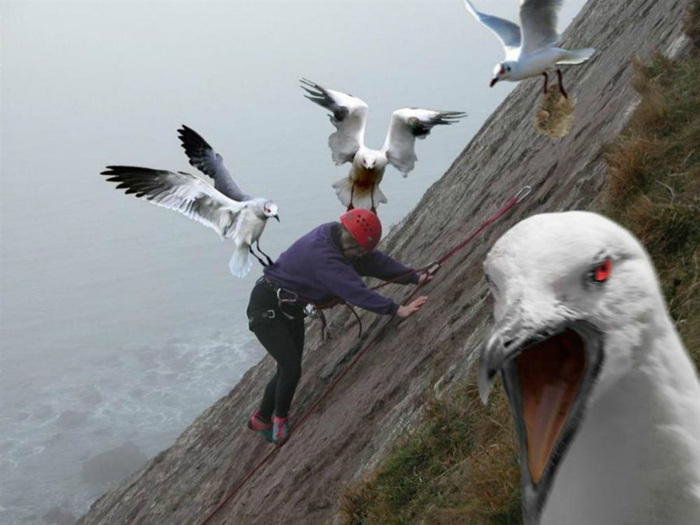 Кажется, птицы хотят меня убить! | Фото: JustGiving.