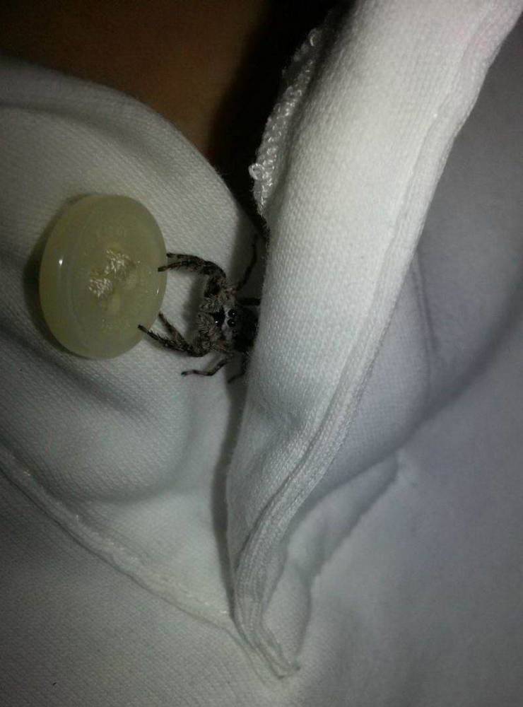 Подборка смешных картинок. Вечерний выпуск  приколы,смешные картинки,юмор