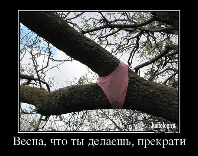 Смешные и классные демотиваторы про весну 