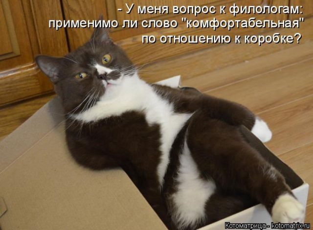 Самые смешные котоматрицы за прошедшую неделю