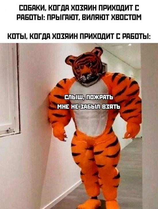 Подборка супер прикольных картинок