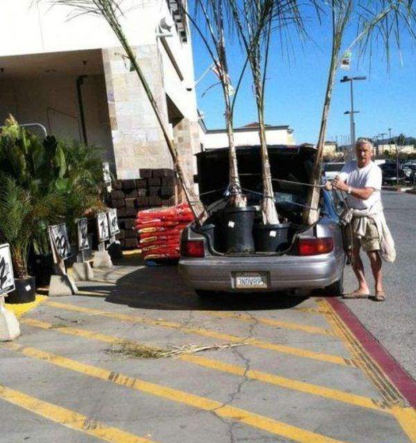 Подборка автомобильных приколов Подборка автомобильных приколов смешные картинки