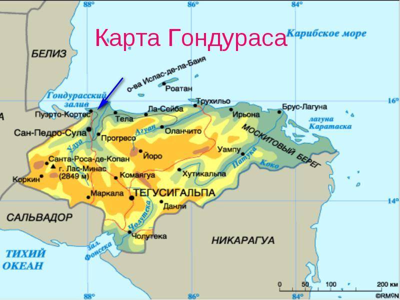Эрнан Кортес и королевство кровавого ужаса история