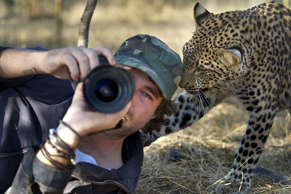 Работа фотографа в тесном контакте с животным миром