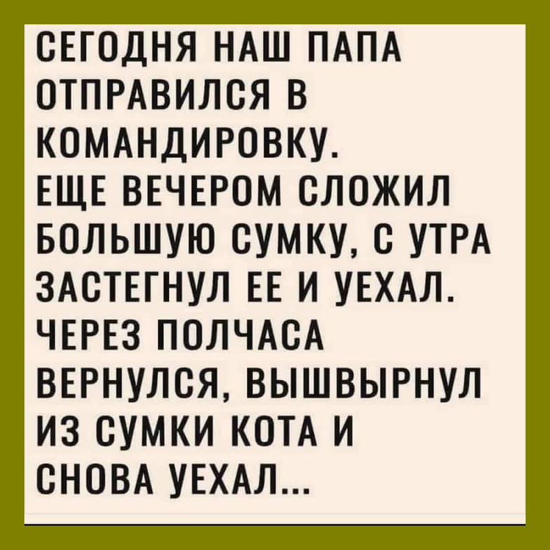 Смешные и интересные шутки, цитаты и фразы Смешные и интересные шутки, цитаты и фразы