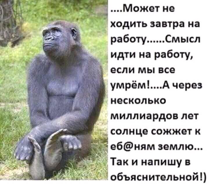 Здоровье - это такая штука, которую берегут, когда его уже нет, и целеустремлённо подрывают, когда оно ещё есть анекдоты,веселые картинки,приколы,юмор