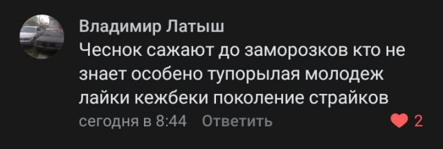 Странные и смешные ситуации, с которыми можно столкнуться лишь в России