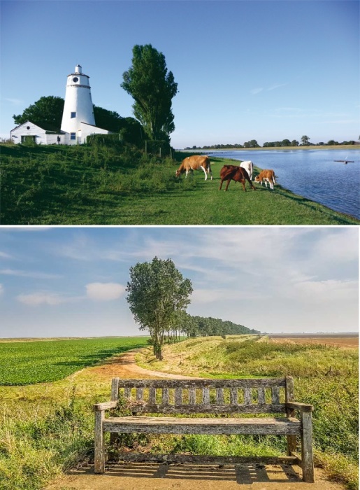 Идиллическое природное окружение доступно для прогулок гостей (Sir Peter Scott Lighthouse).