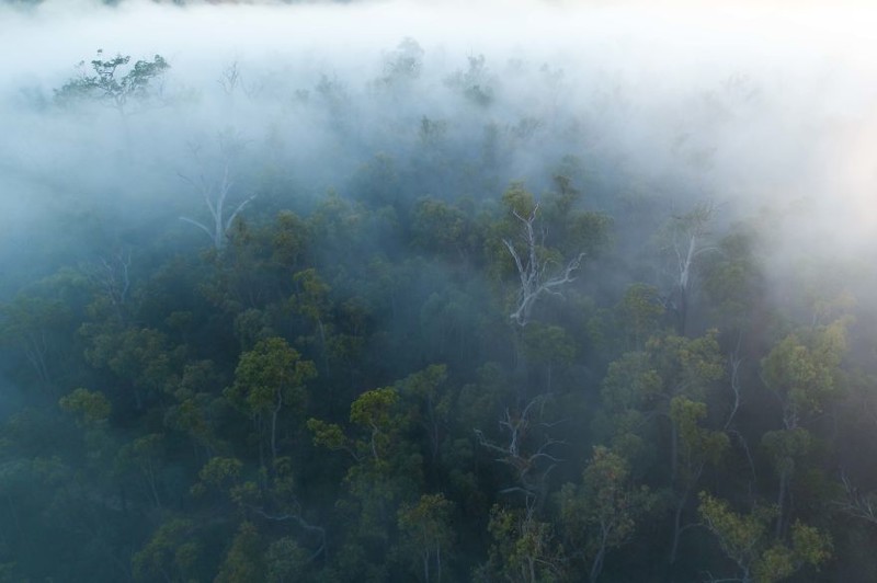 Утренний туман австралия, где зимой рай, зима, красота, мягкий климат, пейзажи, тепло, фото
