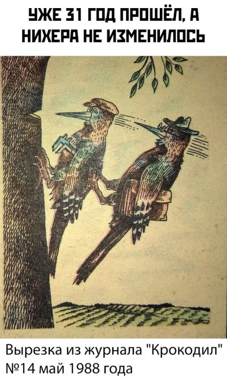 Фотоподборка понедельника 25 марта  